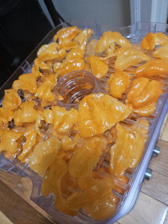 Torn habanero peppers on dehydrator trays